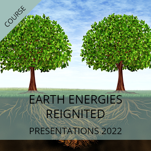 Earth Energies ReIgnited Presentations